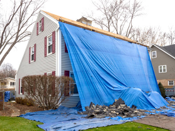 Best Siding for New Construction  in Camilla, GA